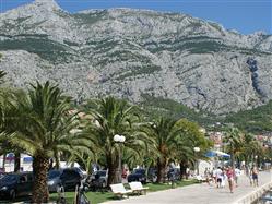 City museum Makarska Brela Sights
