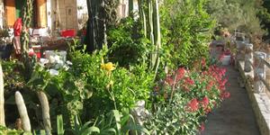 Apartament - Gdinj - wyspa Hvar