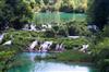 The Plitvice Lakes