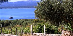 Hiša - Bol - otok Brac