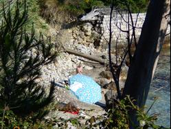 Plat Kolocep - otok Kolocep Plaža