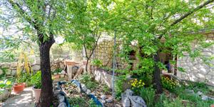 Apartmá - Novi Vinodolski (Crikvenica)