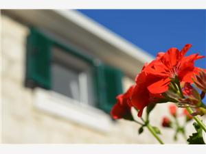 Dom Little Flower Okrug Gornji (Ciovo), Kamenný dom, Rozloha 30,00 m2, Vzdušná vzdialenosť od centra miesta 200 m